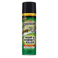18.5 oz Wasp and Hornet Killer Aerosol Spray